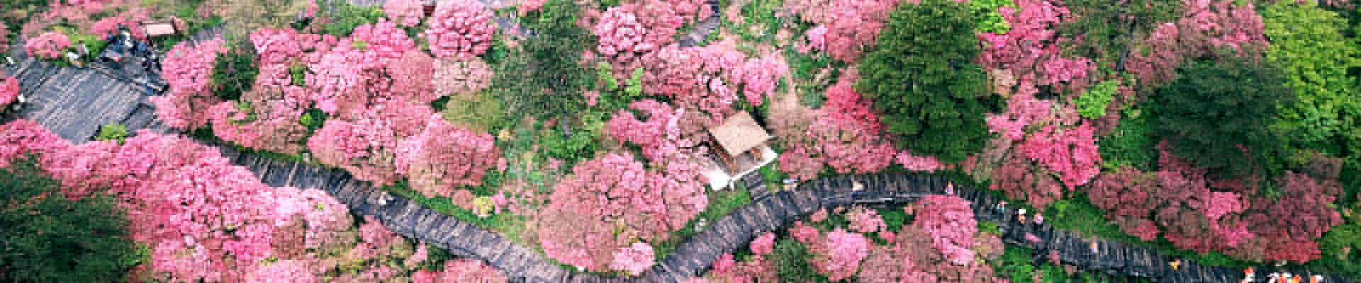 <strong>用專業解決問題，為客戶創(chuàng)造價值！</strong>